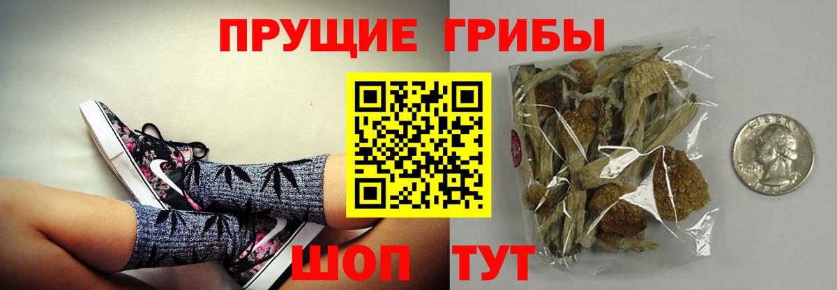 Псилоцибиновые грибы GOLDEN TEACHER  Галлюциногенные грибы Cubensis  Вход с VPN  Губкин 